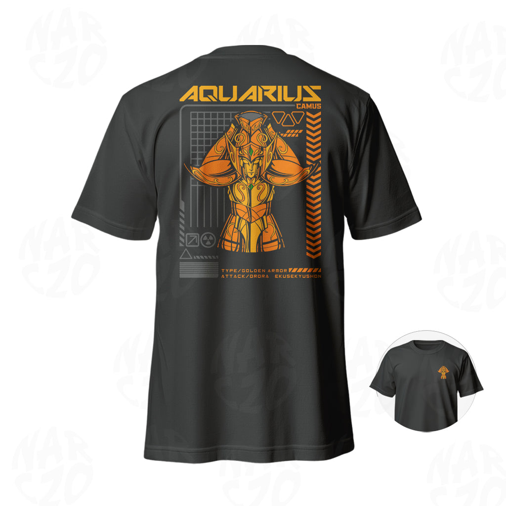 Caballeros del Zodiaco - Acuario