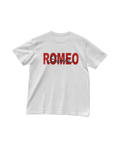 Romeo Santos y Prince Royce
